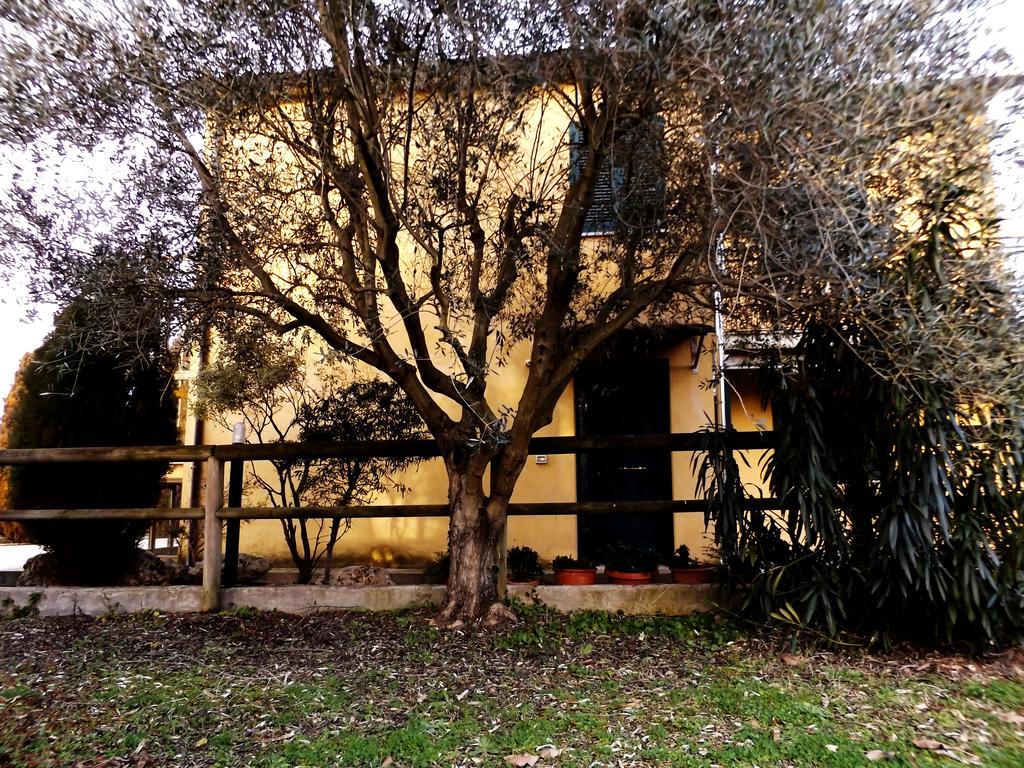 モンテラード Il Casale Di Nonno Guido Bed & Breakfast エクステリア 写真
