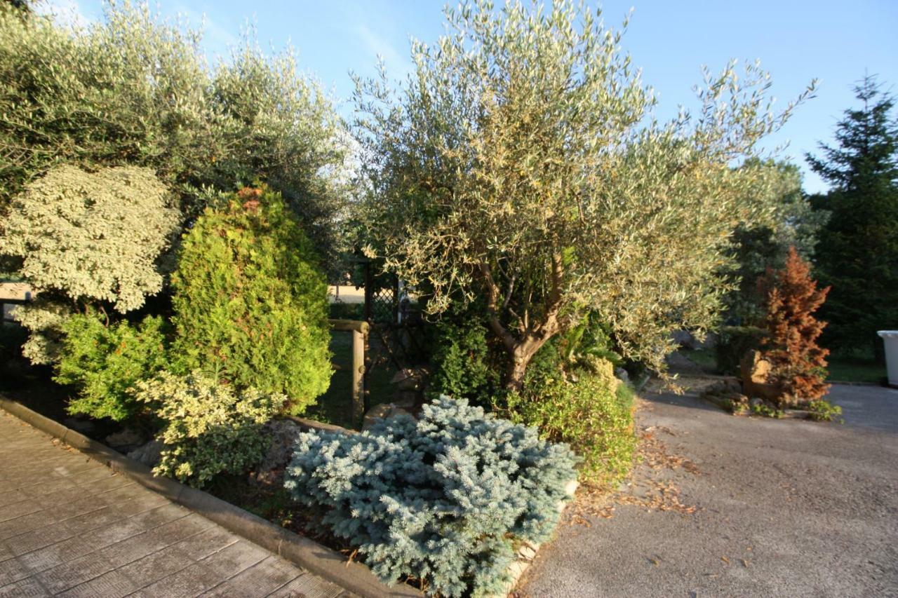モンテラード Il Casale Di Nonno Guido Bed & Breakfast エクステリア 写真