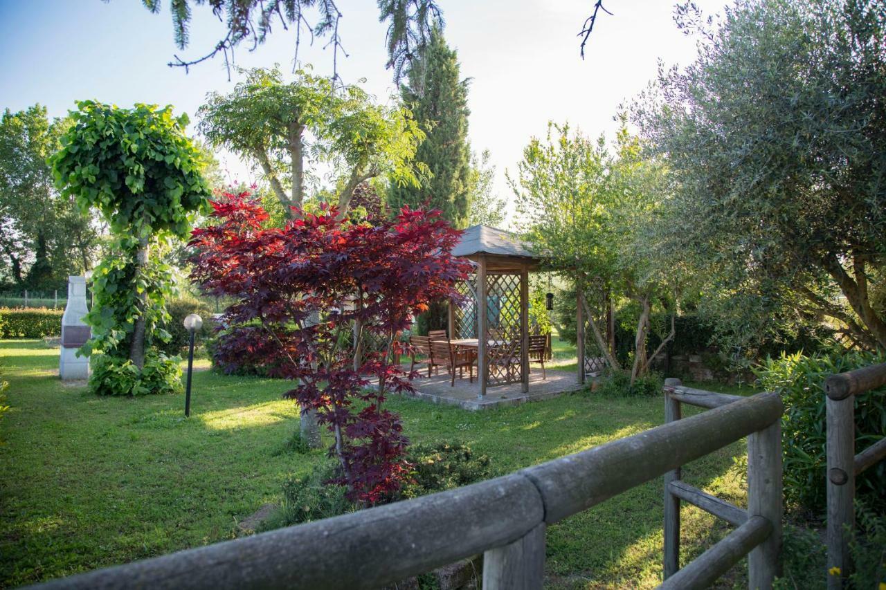 モンテラード Il Casale Di Nonno Guido Bed & Breakfast エクステリア 写真