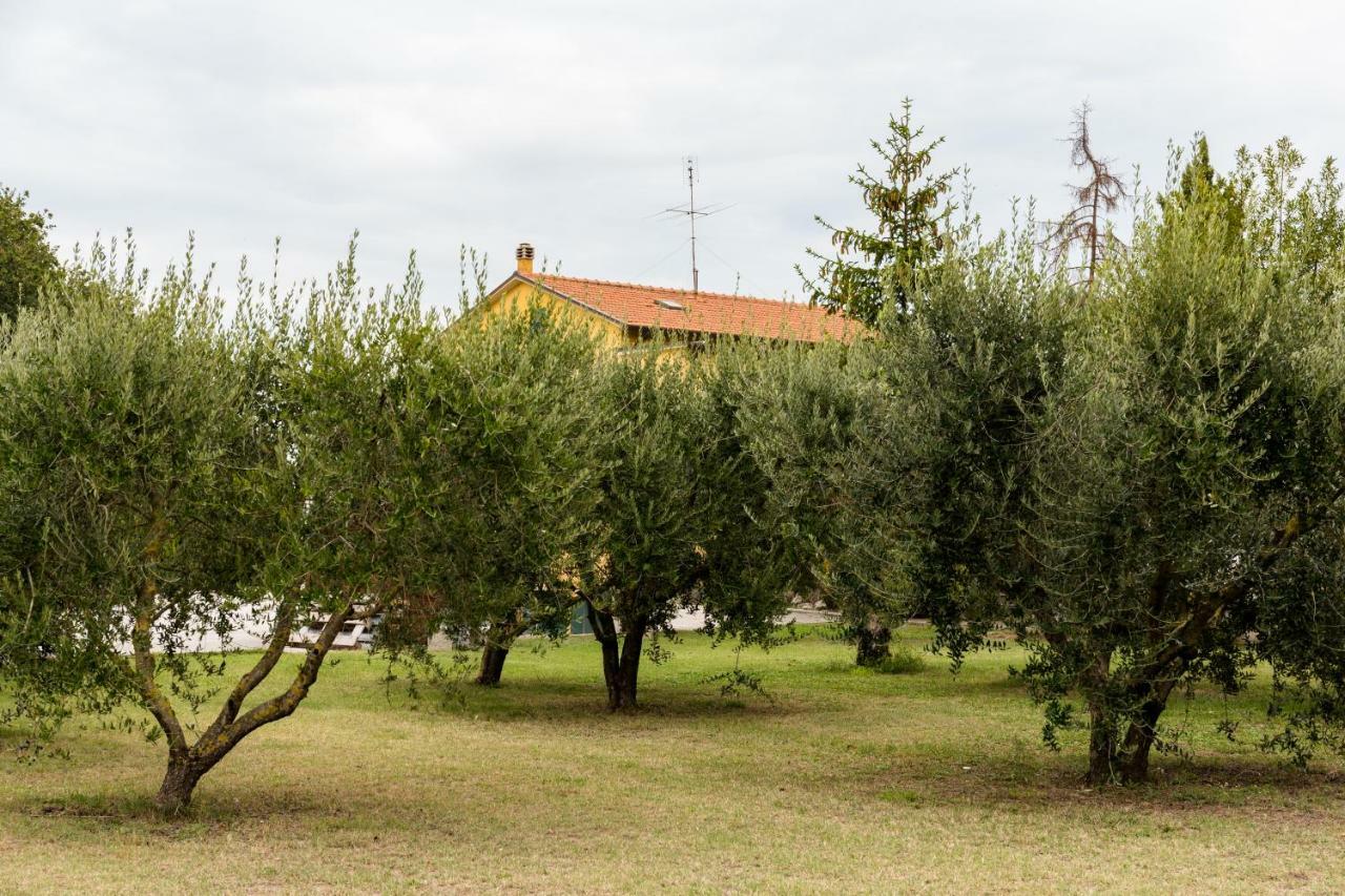モンテラード Il Casale Di Nonno Guido Bed & Breakfast エクステリア 写真