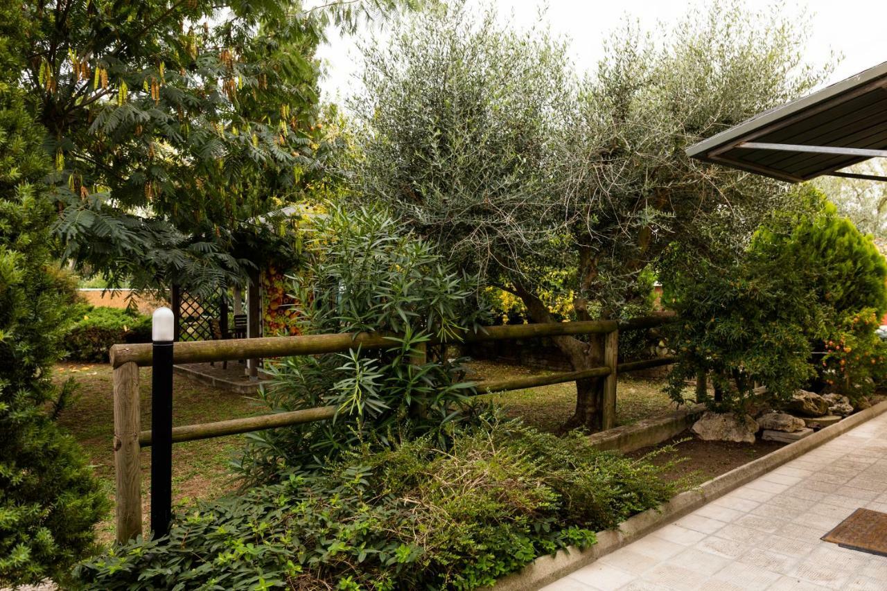 モンテラード Il Casale Di Nonno Guido Bed & Breakfast エクステリア 写真